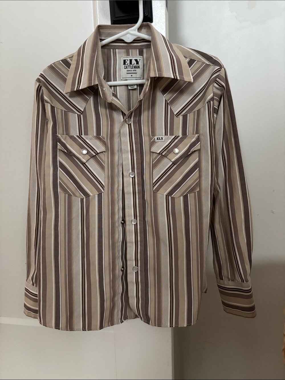 Ely Cattleman Brown and Cream Striped Western Button-Down Shirt